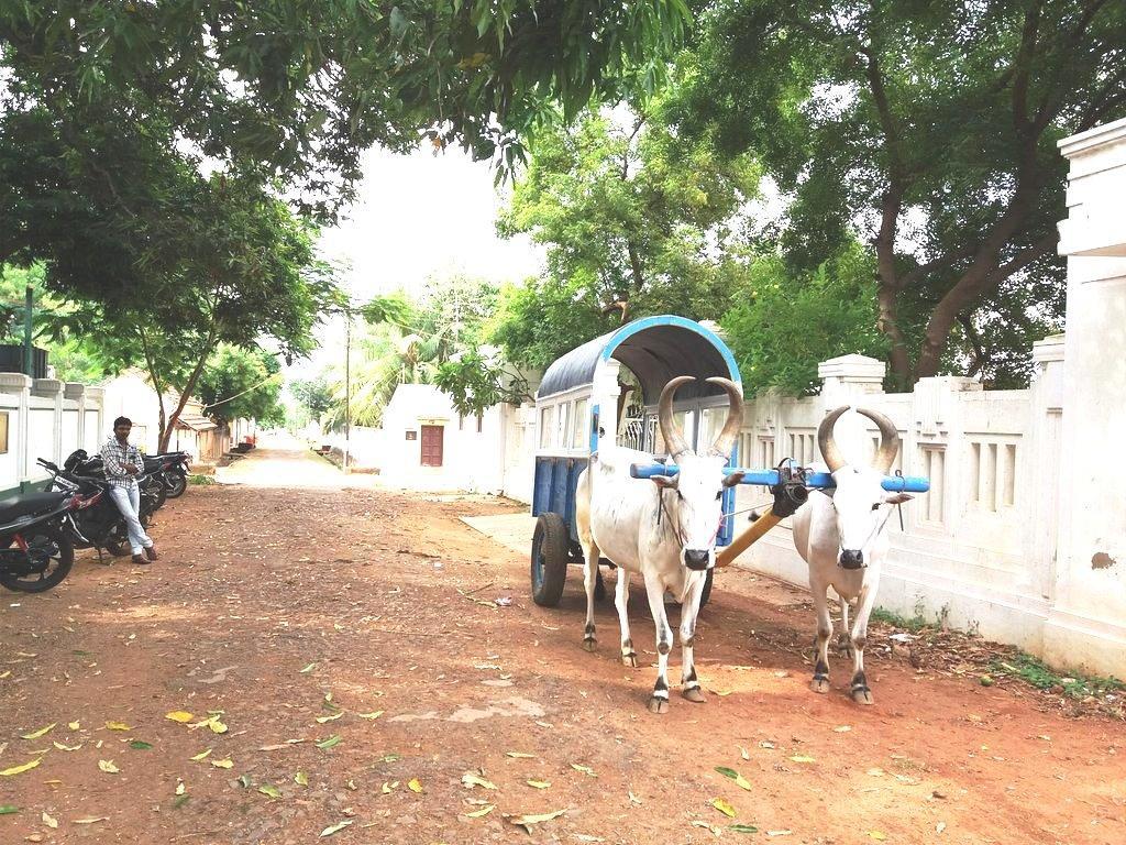 Chettinadu Mansion - An Authentic Heritage Palace Kānādukāttān Bagian luar foto